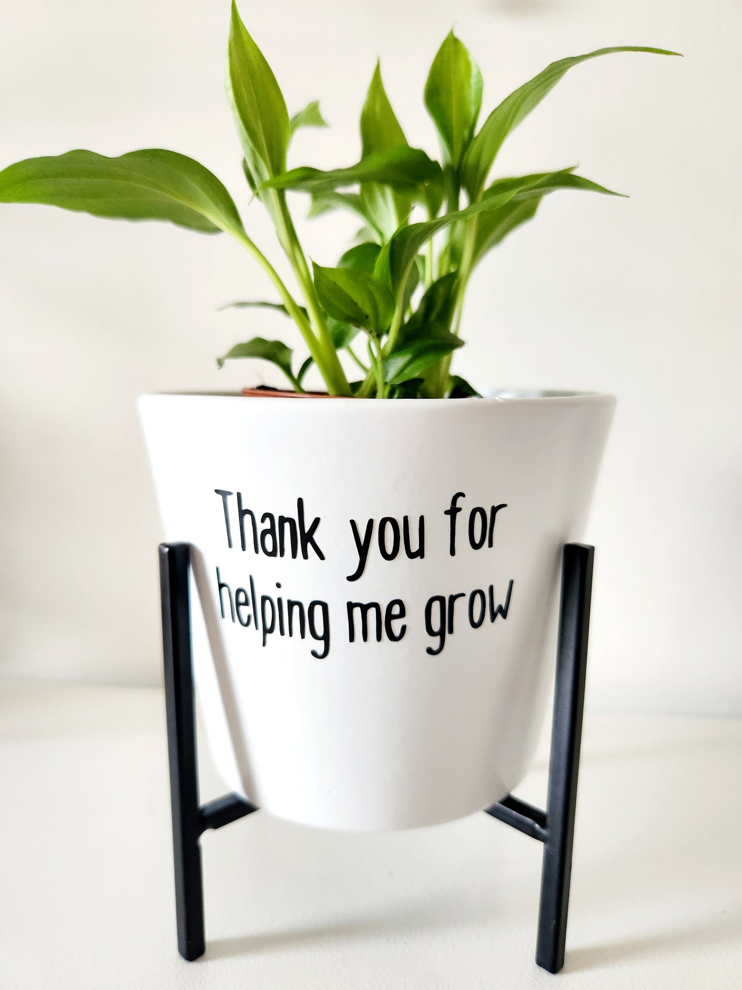 Personalized Teacher's Gift - plant pot and stand