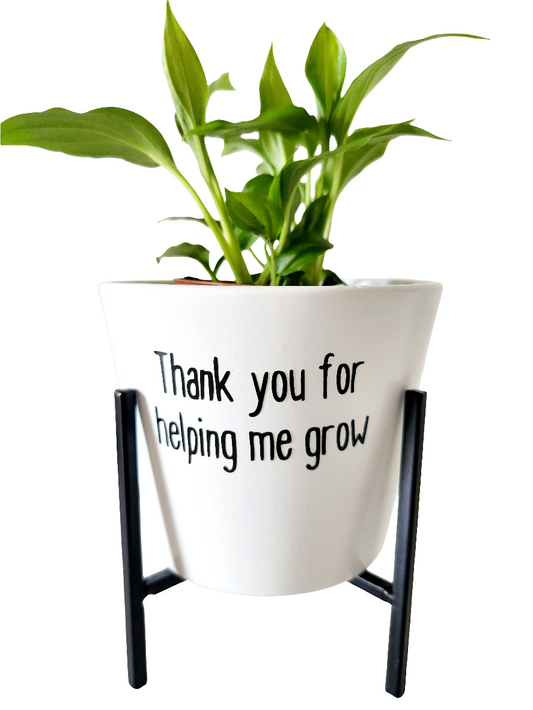 Teacher's Thank you Gift(Pot and Stand only)
